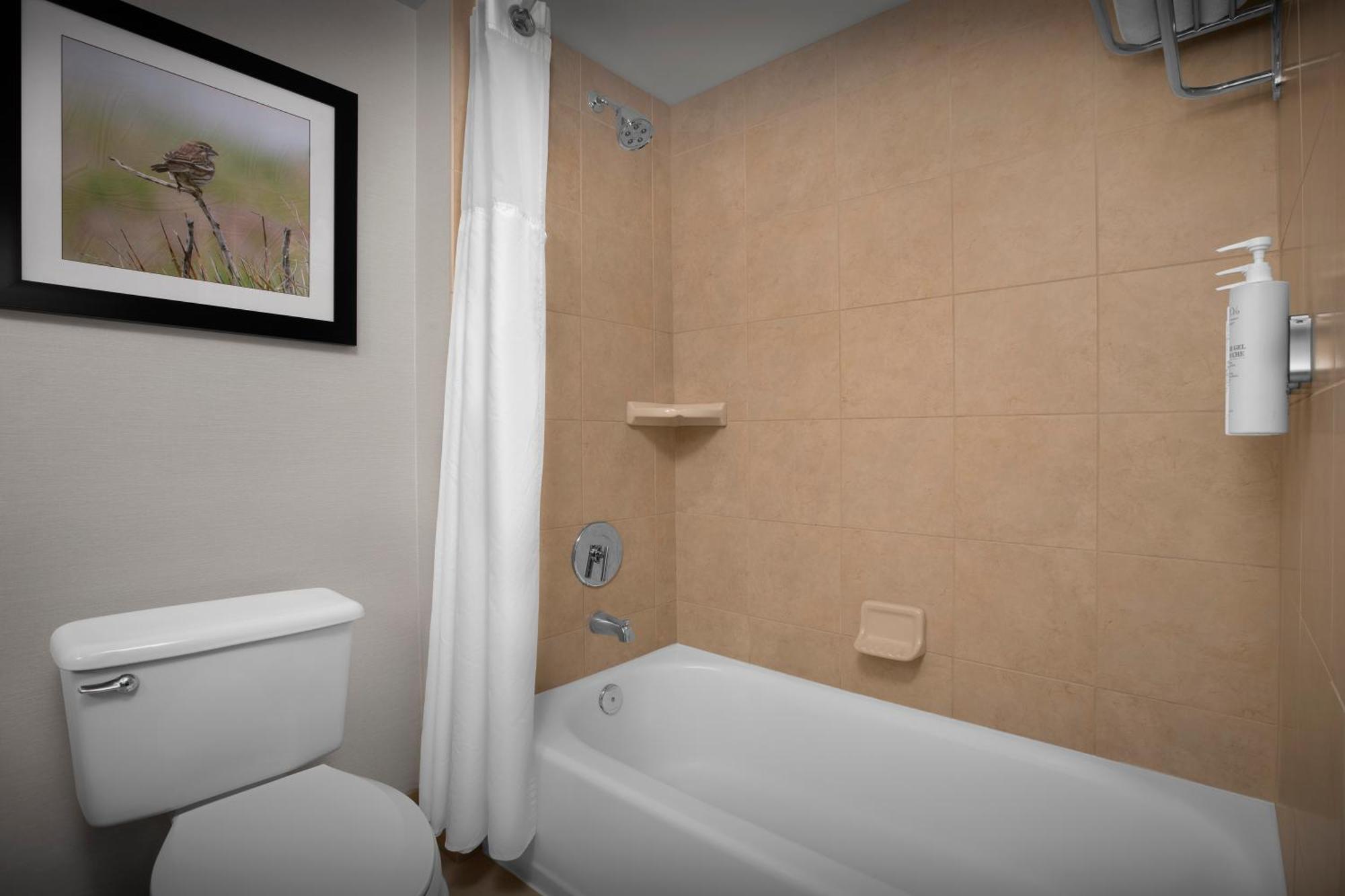 Hilton Garden Inn Denver Highlands Ranch Luaran gambar